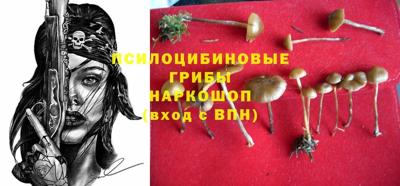 Псилоцибиновые грибы Magic Shrooms  omg ссылки  Камызяк 